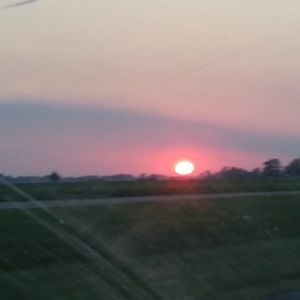 Meet your Posher, Leland